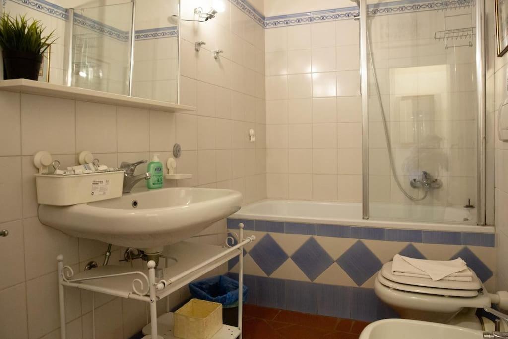 Appartamento Charming By Piazza Santo Spirito